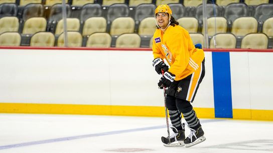 Hextall offers healthy prognosis for playoffs taken at PPG Paints Arena (Penguins)